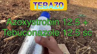 Tebazo fungicide full information and live result explain with specificationsumitomo [upl. by Hardi]