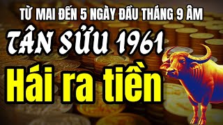 Tân Sửu 1961 Trúng Lớn Tử vi Báo Hiệu Thời Cơ Phát Tài Từ Mai Đến 5 Ngày Đầu Tháng 10 Âm Này [upl. by Goodrow]