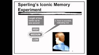 Sensory Memory  VCE Unit 3 Psychology [upl. by Arlen]