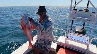 Doing it Solo Fishing that is  Reef Fish Trippin  Ep 1 [upl. by Wilser]