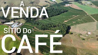 SÍTIO  ALTA PRODUÇÃO DE CAFÉ NO PARANÁ R46M [upl. by Chlores]