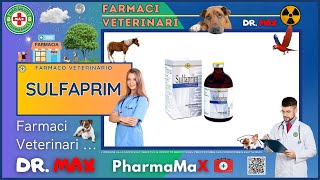 🐶 SULFAPRIM Farmaco Veterinario a cosa serve   Foglietto Illustrativo Salute [upl. by Sheffy]