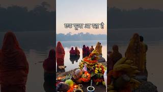 Chhath puja trending shorts short chhathpuja [upl. by Lehcar]