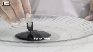 Making Magnetic FerroFluid  How To Make Ferrofluid at home  Science Experiment for kids  elearnin [upl. by Attikram]