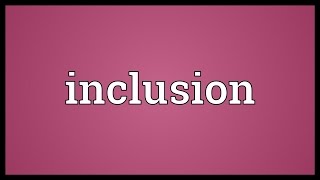 Inclusion Meaning [upl. by Juetta]