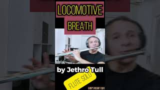 Locomotive Breath flute solo GiovyFlute cover From Aqualung by Jethro Tull rockflute flutesolo [upl. by Eitsrik]