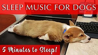 Sleep Music for Dogs Black Screen  FadetoBlack in 5minutes [upl. by Ennovaj]