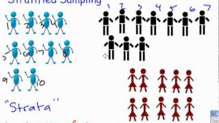 Stratified Sampling [upl. by Ellene156]