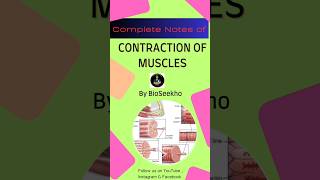 Contraction of Muscles Notes 🔥🔥🔥neet mbbs shorts biology medicalentranceexam aiims doctor [upl. by Abrahamsen160]