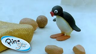 Pingu Makes Art Pingu  Official Channel Cartoons For Kids [upl. by Lerrad104]