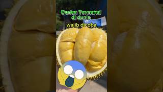 Durian Termahal yang Hanya Tumbuh di Satu Tempat di Dunia durian buah buahbuahan shortsfeed [upl. by Wadsworth]