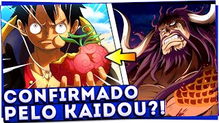 A AKUMA NO MI LENDÁRIA DO LUFFY FOI CONFIRMADA PELO KAIDOU  One Piece 1042 [upl. by Rubbico]