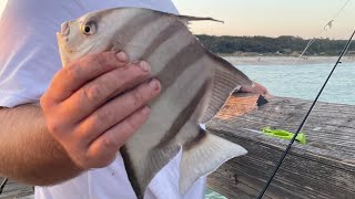 Fishing Myrtle Beach SC [upl. by Ameekahs634]