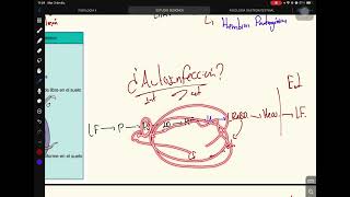 Strongyloides Stercolaris  Parásitos Gastrointestinales III [upl. by Tierell]