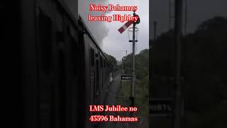 Noisy Bahamas in Highley shorts youtubeshorts shortsfeed shortsviral shortsviralvideo [upl. by Brena37]