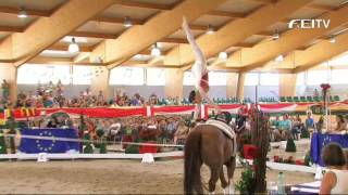 FEI European Vaulting Championships 2013  Senior Individual Female  Top 3 [upl. by Perceval]