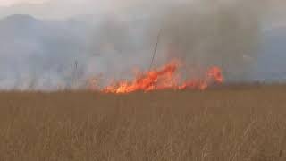 Forest Firesforest fire in nepal [upl. by Yrrej]