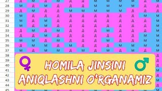 HOMILA JINSINI ANIQLASH KALENDARI  ОПРЕДЕЛИТЬ ПОЛ РЕБЕНКА [upl. by Arraet]