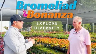 Bromeliad Bonanza Exploring Diversity Growth Stages and Ground Cover Varieties [upl. by Lowenstein]