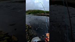 Fly Fishing for Sea Trout in tidal current in Finnmark  Northern Norway [upl. by Navis138]