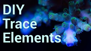 Dosing DIY Trace Elements in Reef Tanks for more Colorful Acropora [upl. by Noam710]