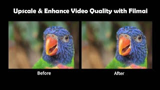 How to Upscale amp Enhance Video Quality with Aiseesoft Filmai [upl. by Aryc]