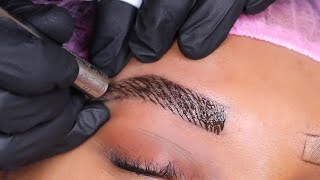 Microblading  The BEST Technique [upl. by Poree35]