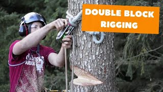 Double block rigging  Tree rigging systems [upl. by Nalod]