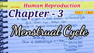 Menstrual Cycle  Reproductive Cycle Class12th  Biology NCERT  Trick for Menstrual Cycle Class12th [upl. by Martinic795]