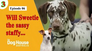 The Dog House Australia  Season 3 Episode 06 Will Sweetie the sassy staffy [upl. by Faubion]