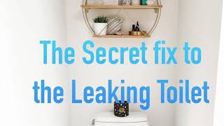 How to really fix a caroma dual flush leaking toilet [upl. by Anwaf]