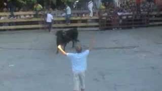 TOROS ENSOGADOS DE CABRETÓN LA RIOJA [upl. by Carlota996]