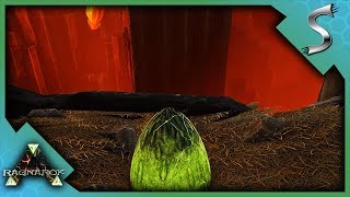 STEALING POISON WYVERN EGGS HIGH LEVEL POISON WYVERN RAISING  Ark RAGNAROK DLC Gameplay E77 [upl. by Einahpets]