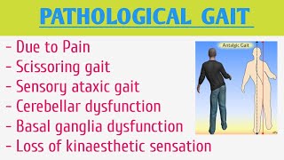 Pathological Gait [upl. by Poulter]