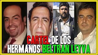 Cartel de los Hermanos BELTRAN LEYVA Su historia en 1 video [upl. by Nawotna]