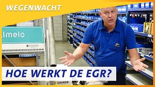 Een auto met een lekkende EGR Robert is weer in Nederland  Wegenwacht vlog [upl. by Dwayne]