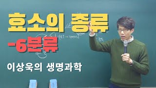 효소4 효소의 종류 [upl. by Anilosi]