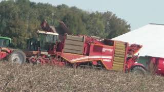 Die 4 reihigen selbstfahrenden Kartoffelroder Grimme VARITRON 470 TERRA TRAC beim Kartoffel Roden im [upl. by Yrrem]