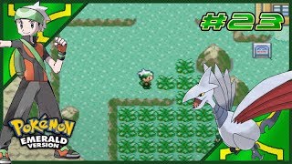 Pokemon Emerald Walkthrough Part 23 Loading Up the Armory [upl. by Drucie227]