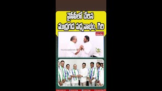 Mudragada Padmanabham Joins YSRCP Party youtubeshorts shorts [upl. by Afra]