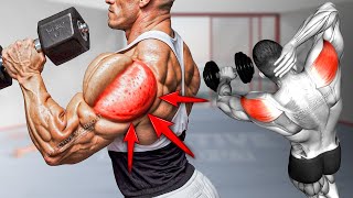 5 Best Rear Delt Exercise Big SHOULDERS [upl. by Ellicott]