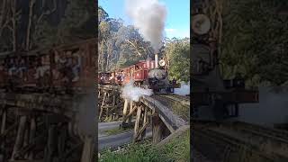 World famous Trestle Bridge Dandenong Ranges Victoria Australia train steamengine australia [upl. by Stucker]