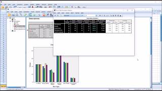 Calculating Descriptive Statistics in SPSS [upl. by Basso]