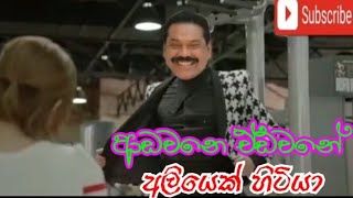 ආඩවනෙ ඒඩවනෙ අලියෙක් හිටියාadawane adawane aliyek hitiya [upl. by Eissirhc136]