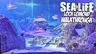 Sea Life Loch Lomond Full Virtual Tour August 2023 4K [upl. by Craggie]