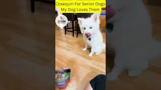 Cosequin For Senior Dogs Dog Supplement for Mobility  My Dog Loves Them  My Dog Supplement [upl. by Idnib]