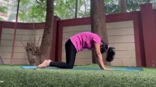 Cat Cow Posecatcowpose motivation youtubeshortssorts yogasna motivation [upl. by Massingill]