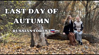 a cosy autumn vlog 🍂 countryside  Russia cosyvlog autumn forestsounds [upl. by Fisken415]