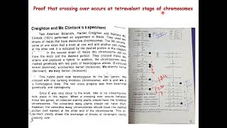 Creighton amp McClintoks Experiment in maize Genetics Crossing Over Botany biology [upl. by Ditzel345]