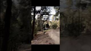 In your opinion what happened after🤔😅 socratiszotos the rider mtb mtbdownhill downhillmtb [upl. by Yeargain]